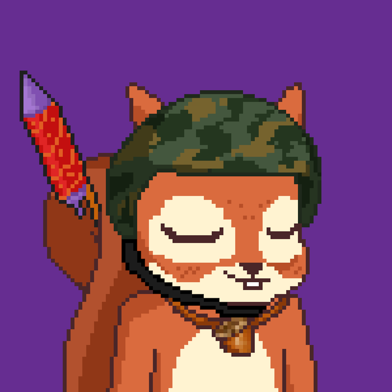 Pixel Squirrels #5249